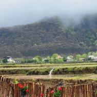 خریداران واقعی تماس بگیرند چندین ویلا زمین شالیزار آپارتمان