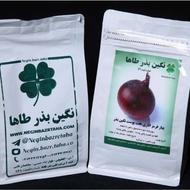 بذر پیاز قرمز اناری هفت پوست تضمینی