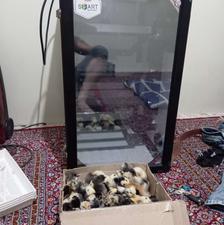 دستگاه جوجه کشی 168تایی اسکندری