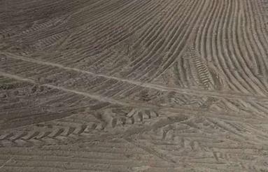 زمین کشاورزی دیم ده هکتار تک برگ سند آماده انتقال