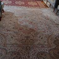 فرش 12 متری 1200 شانه اکرلیک