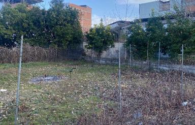 فروش زمین 150 متر در خیابان کفشگرکلا