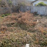 فروش زمین 198 متر در خیابان کفشگرکلا