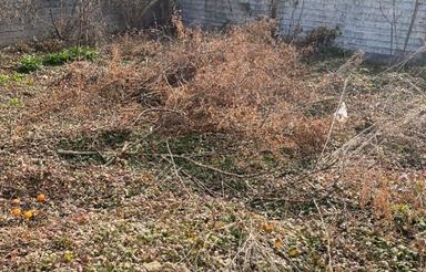 فروش زمین 198 متر در خیابان کفشگرکلا