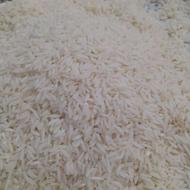 طارم هاشمی اصل