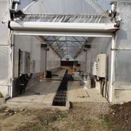 استخدام نگهبان