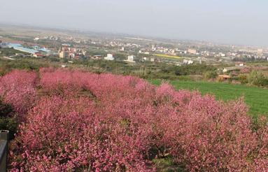 خانه باغ ویو ابدی 1700 متری باغ شلیل پر محصول در اسبوکلا