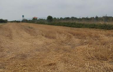 زمین باغی فولاد محله