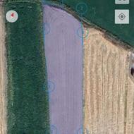 فروش زمین کشاورزی بارانی و بر جاده