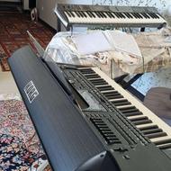 پیا5 کارتن باز شرکتی