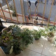 9تا گل با گلدان