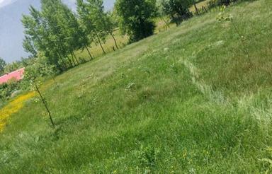 زمین ییلاقی در مکش تالش