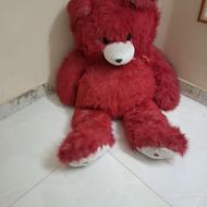 خرس سایز بزرگ