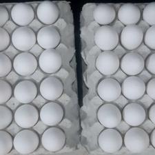 فروشگاه مرغ و تخم مرغ میلاد