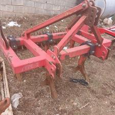 چیزل 5 شاخه شخمیران مشهد