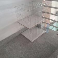 جفت کن کبوتر و قفس پرنده