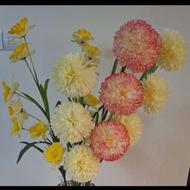 گل شاخه بلند