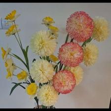 گل شاخه بلند