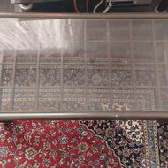 سالم و با کمی رنگ پریدگی و پایه ها سالم هستند