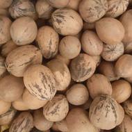 گردو پگا امریکایی خوش مغز امساله