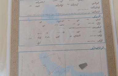 زمین کشاورزی دیم