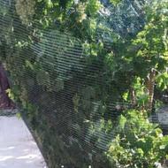 تور ضد پرنده تنها تولیدکننده توری ضد پرنده استاندارد