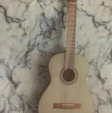 گیتار همراه با کیف