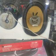 بانت پایونیر اصلی