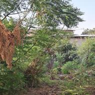 فروش زمین مسکونی قاعمشهر فولادکلاه 300متر