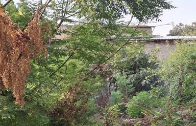 فروش زمین مسکونی قاعمشهر فولادکلاه 300متر