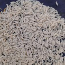 فروش برنج طارم هاشمی