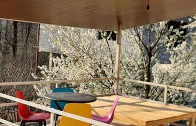 اجاره ویلا دوخواب جنگلی دربست