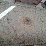 فرش12متری700شانه