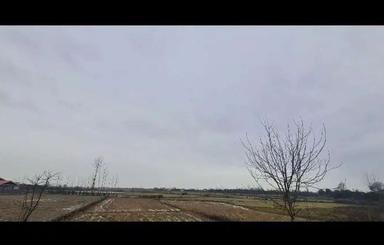 فروش زمین مسکونی بر آسفالت به شرط پروانه