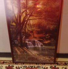 تابلو و قاب عکس