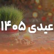 پول عیدت با این چندتا برنامه در بیار