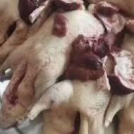 مواد غذایی پروتینی