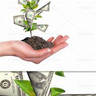 جایزه طلایی شرکت ظفر سازه