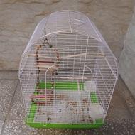 قفس عروس هلندی