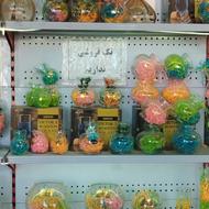 تنگ ماهی قرمز مرکزپخش