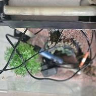 آکواریوم ماهی