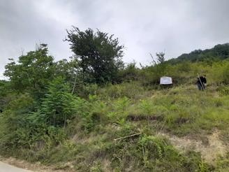 2400 متر زمین کشاورزی