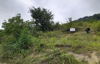 2400 متر زمین کشاورزی