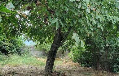 ویلا750مترسنددار