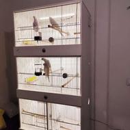 قفس اروپایی PVC خانگی عروس هلندی قناری گیرنچیک