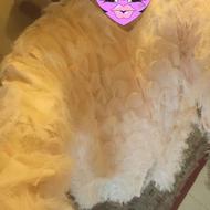 مانتو مجلسی و عقد