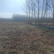 زمین 3 هزار متر لنگرود نسخ مالکیت