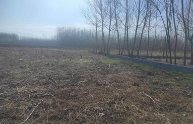 زمین 3 هزار متر لنگرود نسخ مالکیت