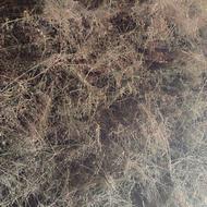 یونجه خشک وگلدار