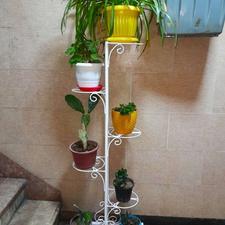 استند گلدان